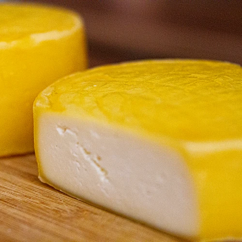 Bakteriálne kultúry na syr gouda - 5
