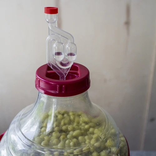 Balón na víno ľahký, nerozbitný, s popruhmi, 25 L - 13
