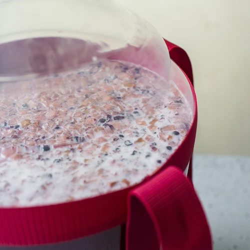 Balón na víno ľahký, nerozbitný, s popruhmi, 25 L - 16