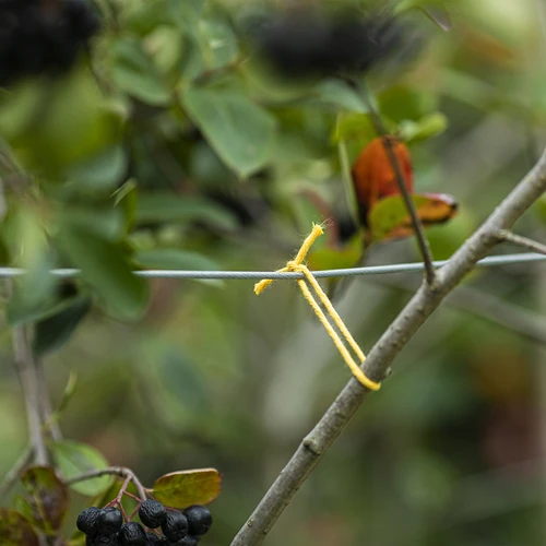 Bavlnený špagát žltý 2 mm/55 m/100 g - 7