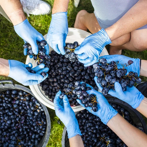 Fermentačná nádoba s vekom 30 L - 17