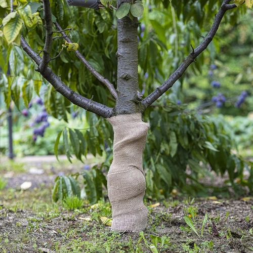 Jutová páska 10 cm/5 m - 5