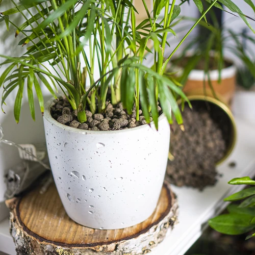 Keramzit pre izbové rastliny, záhradníctvo a lesy v skle 10–20 mm, 4L - 11