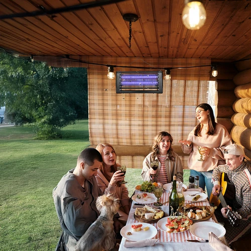 Lampa na hubenie hmyzu UVA 20 W, čierna - 9