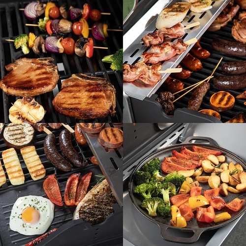 Plynový gril dragON BBQ101, 11,7 kW, čierno-strieborný - 11