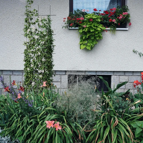 Podpora pre rastliny - záhradná mriežka 150 x 45cm - 4