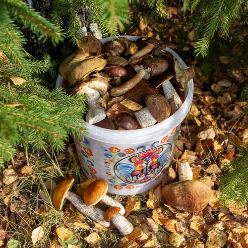 Potravinové vedro GWIOZDA - s vekom, 10 L - 10