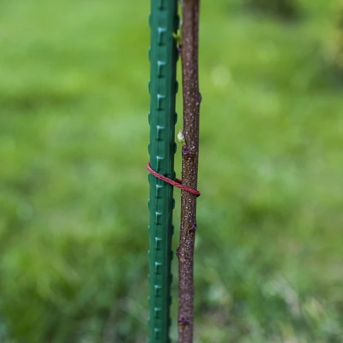 Záhradné tyčky Bioogród – oceľové povlečené, 0,75 m, fi 8 mm, 10 ks. - 6