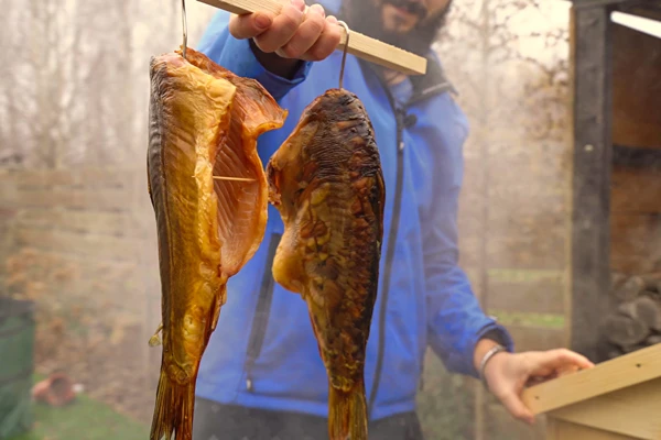 Údený kapor