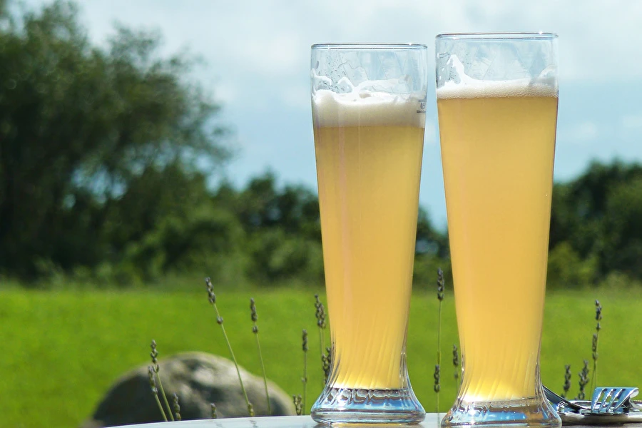Browin Przepiśnik - Pšeničné pivo „Biele”