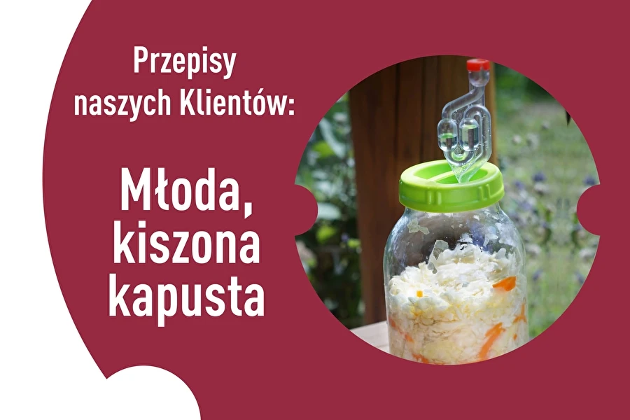 Browin Przepiśnik - Recepty našich zákazníkov: Mladá kvasená kapusta
