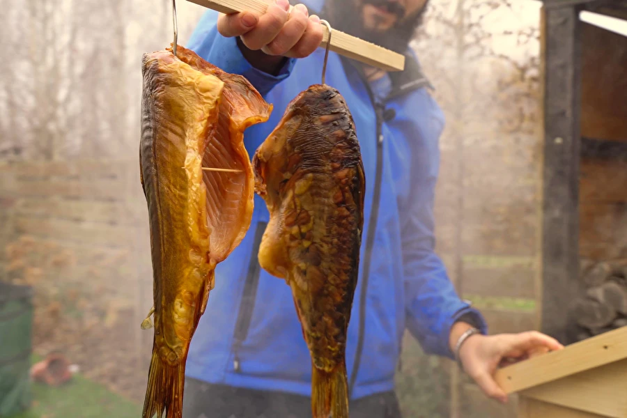 Údený kapor